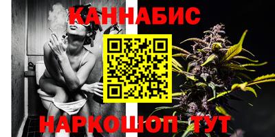 твердый Камышлов